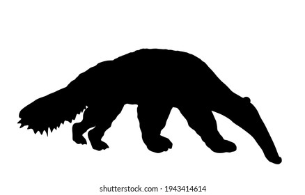 Ilustración gigante de silueta vectorial aislada en fondo blanco. Símbolo animal de hormiga, de Sudamérica.