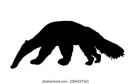 Giant anteater vector silhouette illustration isolated on white background. Ant eater animal symbol, from South America. Shape anteater shadow.