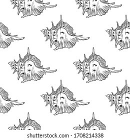 Giant Atlantic Murex. Black and white seashelles. Hand-drawn collection of seamless patterns. Vector illustration.