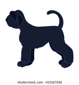 Giant black schnauzer isolated on white background.  Beautiful dog. Vector illustration. Eps 10. 