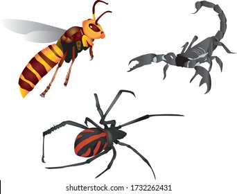 Giant bugs collection vector. Giant bugs illustrations