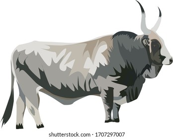 Giant Bull vector - Illustration giant bull
