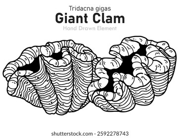 Giant Clam hand drawn black outline vector shape, simple, coloring page, Sea animal, food ingredient, animal, seafood.