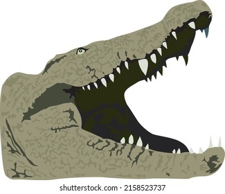 3,717 Crocodile attacks Images, Stock Photos & Vectors | Shutterstock