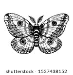 The giant emperor moth hand drawn vector illustration.  Saturnia pyri butterfly. Engraving illustration. Sketch design.