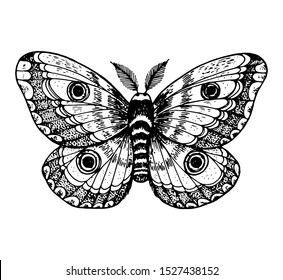 The giant emperor moth hand drawn vector illustration.  Saturnia pyri butterfly. Engraving illustration. Sketch design.