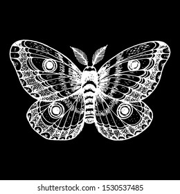 The giant emperor moth hand drawn vector illustration. Saturnia pyri butterfly. Engraving illustration. Sketch design.