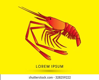 Giant freshwater prawn, shrimp graphic vector.