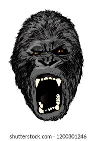 giant gorilla  head