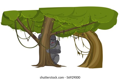 Giant gorilla lurking over the vast tree illustration. Animals vector. Animals cartoon. 