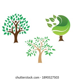 Giant Green Tree And Brown Roots Organic Logo