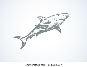 Giant grey Shark isolated on white backdrop. Freehand outline black ink hand drawn logotype emblem pictogram sketchy in art retro scribble style pen on paper. Closeup side view with space for text