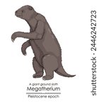A giant ground sloth Megatherium from Pleistocene epoch. 
