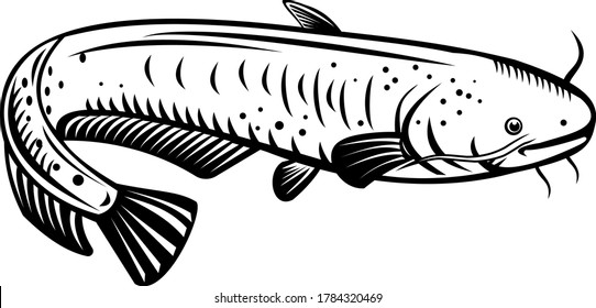 The Giant Lake Biwa Catfish Silurus Biwaensis Biwako-Onamazu Retro Woodcut Black and White