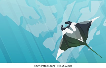 Manta の画像 写真素材 ベクター画像 Shutterstock