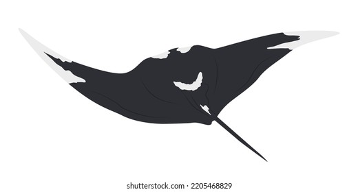 Giant oceanic manta ray Mobula birostris Realistic vector animals