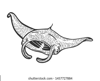 Giant oceanic manta ray sea water animal sketch engraving vector illustration. Scratch board style imitation. Black and white hand drawn image.