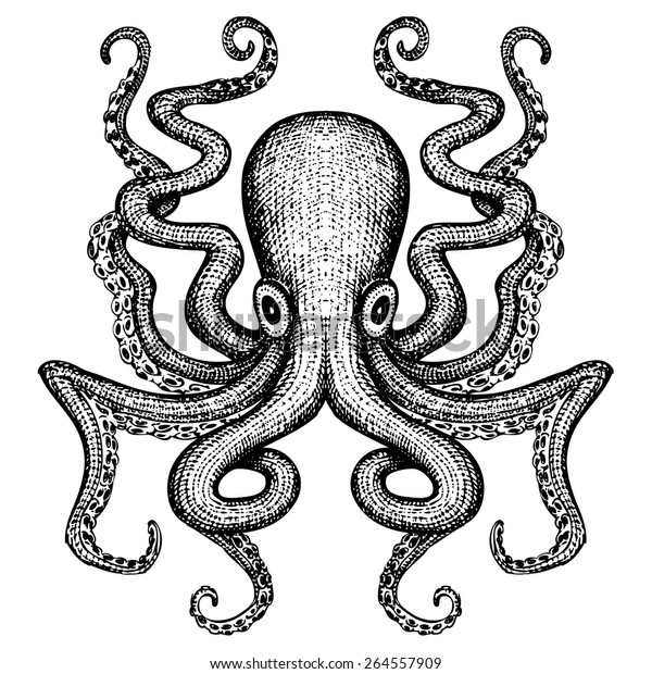 Giant Octopus Sea Monster Stock Vector (Royalty Free) 264557909