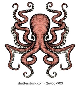 Giant Octopus - Sea Monster (all colors are separated for ease of color change)