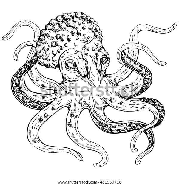 Giant Octopus Sketch Stock Vector (Royalty Free) 461559718 | Shutterstock