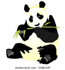 giant panda