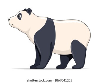 Giant panda animal standing on a white background. Cartoon style vector illustration