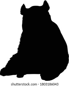 Giant Panda Bear (Ailuropoda melanoleuca) Silhouette Found In Map Of Asia