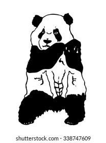 Giant panda bear ink drawing. Vector hand drawn cute animal standing on back paws