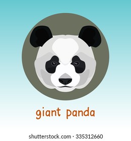 giant panda, big bear cat, panda bear, panda, bamboo bear, blue, portrait,