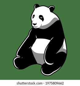The giant panda Chinese also known as the panda bear or simply the panda