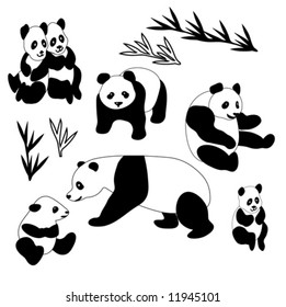 Giant Panda Collection vector is hand drawn original artwork.