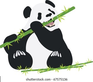 Giant Panda eating bamboo