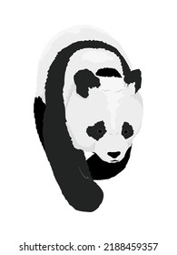 The giant panda is moving forward. Wild Asian bear. realistic vector animal