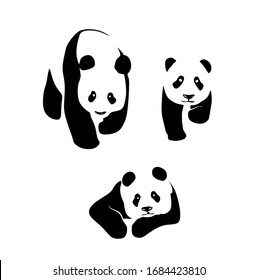 Giant Panda is one of the most adorable animal in the world. Everyone knows it because of its cute behavior and black-white skin color