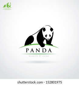 Giant panda - vector illustration