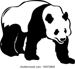 Giant Panda Vector Illustration