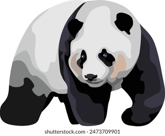 Riesen-Panda-Wildtier-Säugetier-Vektorgrafik