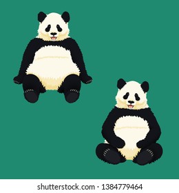 Giant pandas sitting, relaxing and smiling. Black and white bears. Endangered species. Vector illustration.