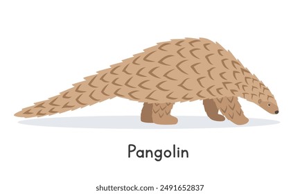 Giant pangolin vector illustration, cartoon clipart character, animal in flat style. Wild animals, wild creatures, wildlife concept. Pangolin vector design isolated on white background