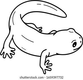 Giant Salamander. Idaho State Symbol. Vector Outline Icon.