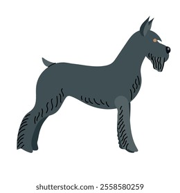 Giant schnauzer clipart avatar logotype isolated illustration