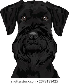 Giant Schnauzer Hund Gesichtspflege Vektordesign