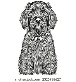 Giant Schnauzer dog hand drawn logo drawing black and white line art pets illustration realistic breed pet