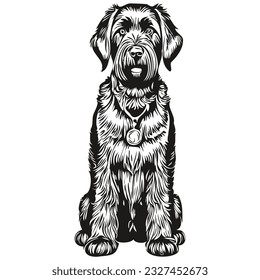 Giant Schnauzer dog line illustration, black and white ink sketch face portrait in vector realistic breed pet