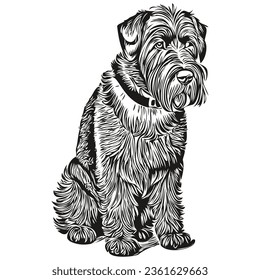 Giant Schnauzer dog logo vector black and white, vintage cute dog head engraved realistic breed pet