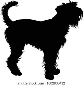 Giant Schnauzer Dog Silhouette Found In Map Of Europe