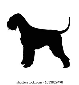 Giant Schnauzer Hund Silhouette Vektorgrafik