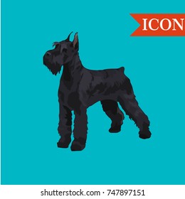 Giant Schnauzer dog vector illustration colorful background 