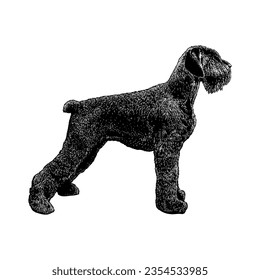 Giant Schnoodle hand drawing vector isolated on white background.