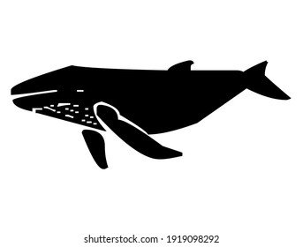 Giant sea whale with fins, sea animal, silhouette, vector, illustration in black and white color, isolated on white background